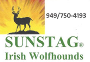 Sunstag sales irish wolfhound